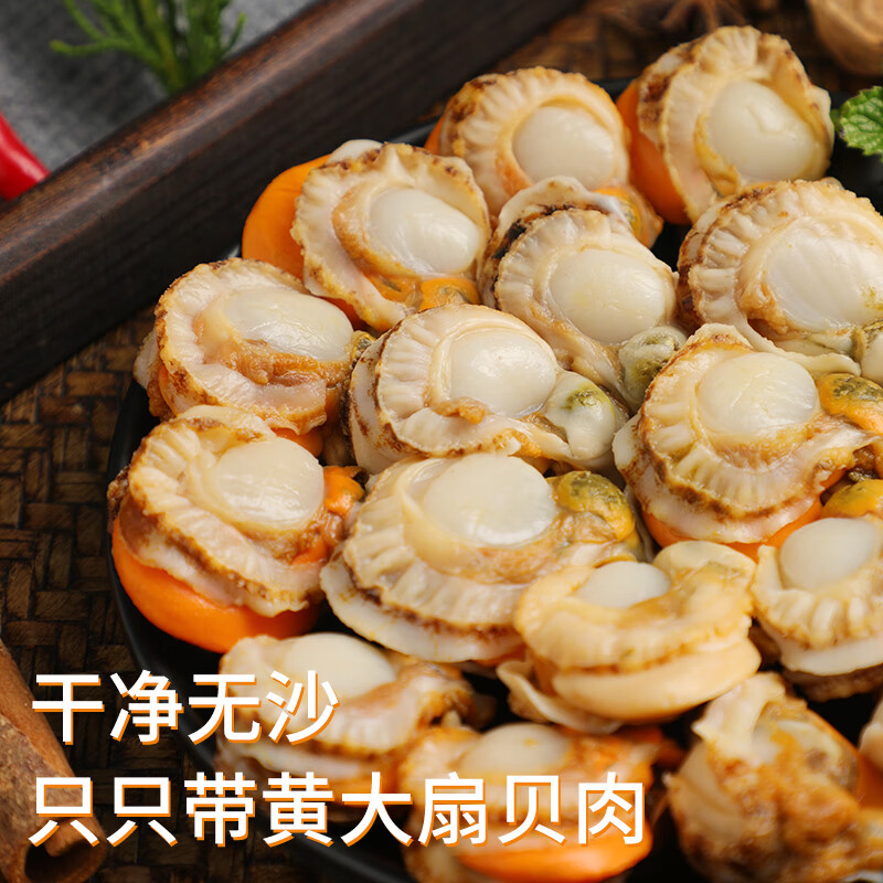 初鲜大号冷冻带黄扇贝肉400g 约30-50颗扇贝 烧烤食材 国产海鲜