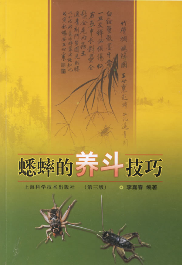 蟋蟀的养斗技巧