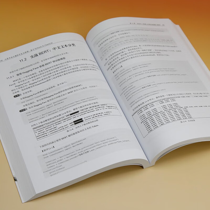 从零开始大模型开发与微调：基于PyTorch与ChatGLM（人工智能技术丛书）