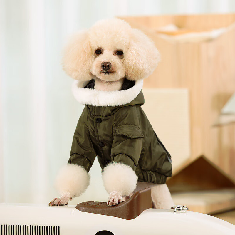 春秋薄款小型犬幼犬宠物可爱秋冬装 军绿 xs:胸围36cm(体重1-3斤))