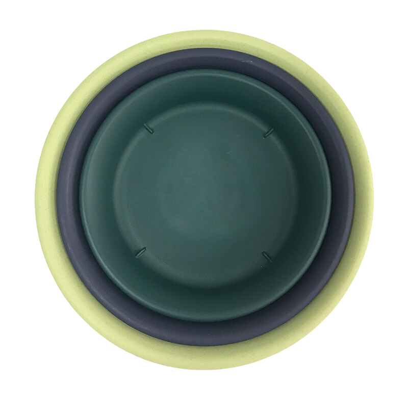 ����˼�����������ϲ�ɫ��֬���н�ˮ����֬8�Ű�ɫ����7�Ż��裩 5Ԫ