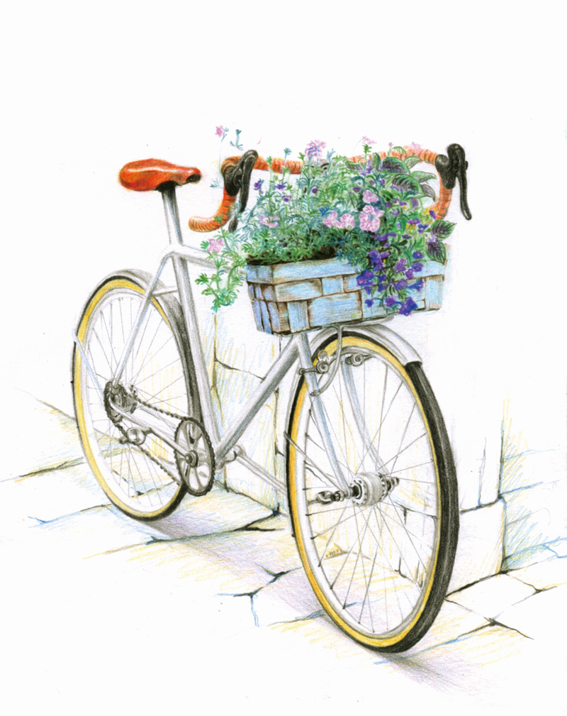 彩色铅笔零基础入门教程