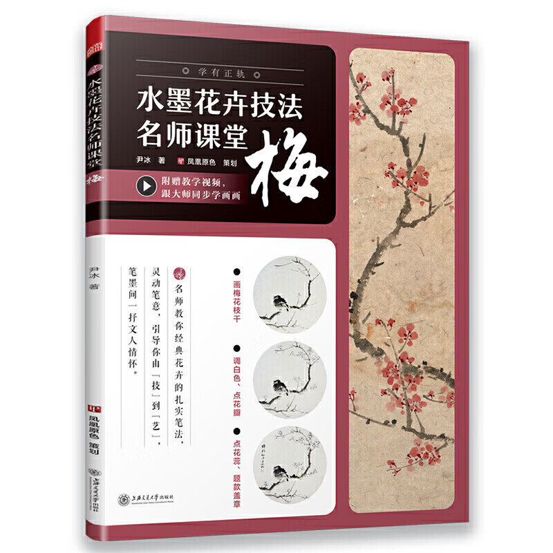 基础水墨梅花入门跟大师同步学画画梅花枝干调色花蕊梅花写生构图画法