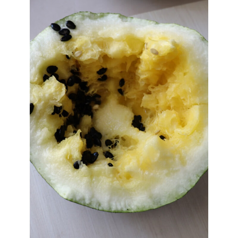 玫栀打瓜24年敖汉黄壤大打瓜黄壤打瓜籽瓜水果1个7斤以上赤峰 1颗