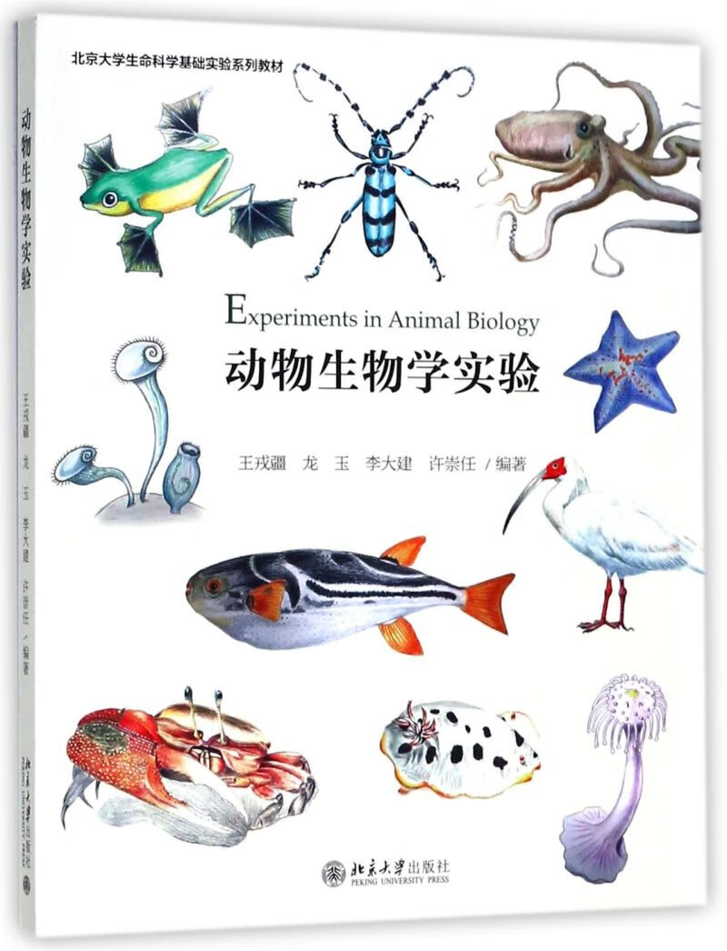 动物生物学实验(北京大学生命科学基础实验系列教材) epub格式下载