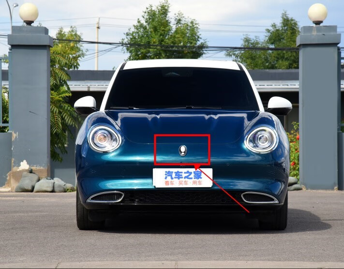 星舵欧拉好猫字标牌前车标后车标汽车ora后门字母标志前尾标字帖 欧拉