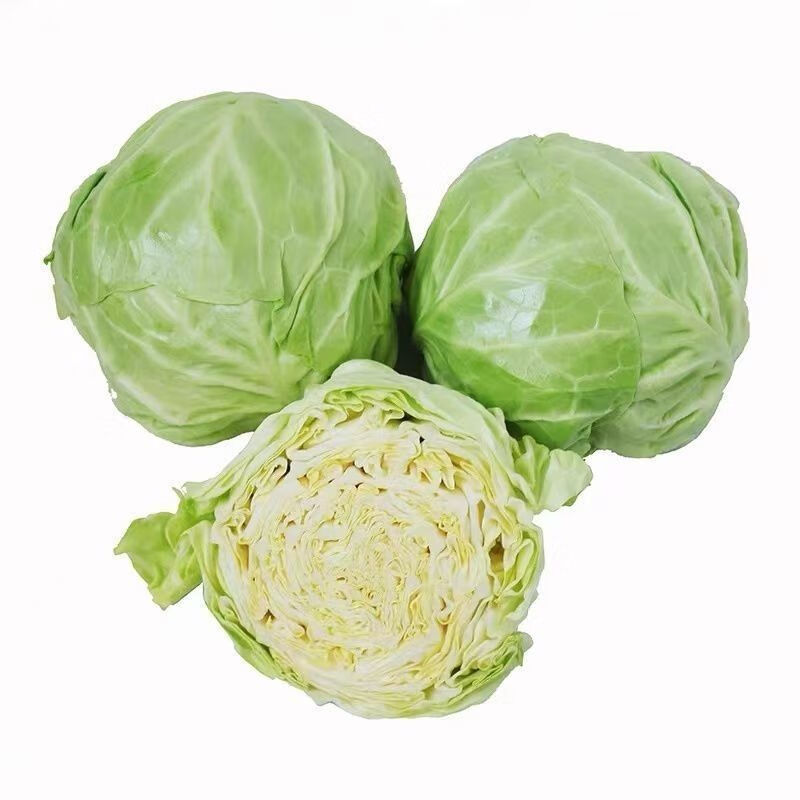 妮姬 圆白菜包菜大头菜5斤卷心菜绿甘蓝火锅新鲜蔬菜椰 1500克(精选装
