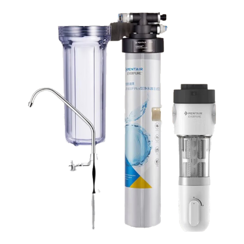 愛惠浦（Everpure）全屋廚房過濾用水 凈水兩件套A（前置過濾器P40B+EF-900P Plus凈水器）