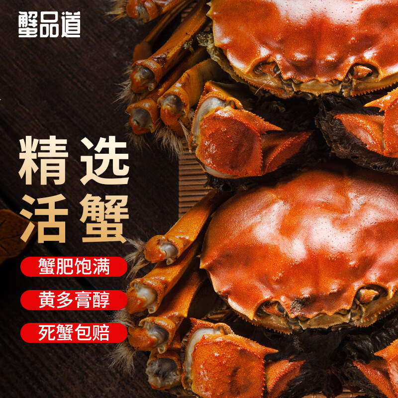 【活蟹】蟹品道大闸蟹鲜活螃蟹现货 全母3.1-3.3两 8只