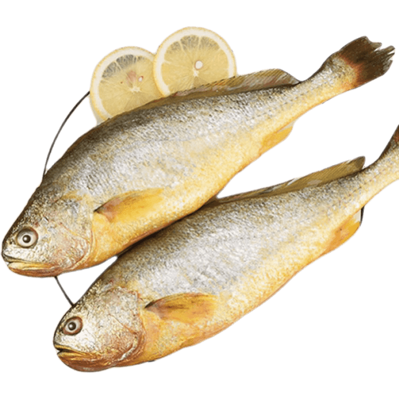 ��֮� ������������ �ƻ������� �ʻ�� ����� 2��װ��Լ1.5��/���� 404Ԫ��4��(��101Ԫ/��)