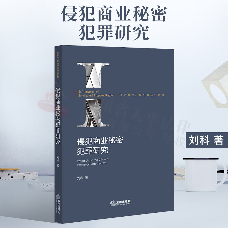 2022新书 侵犯商业秘密犯罪研究 9787519764258