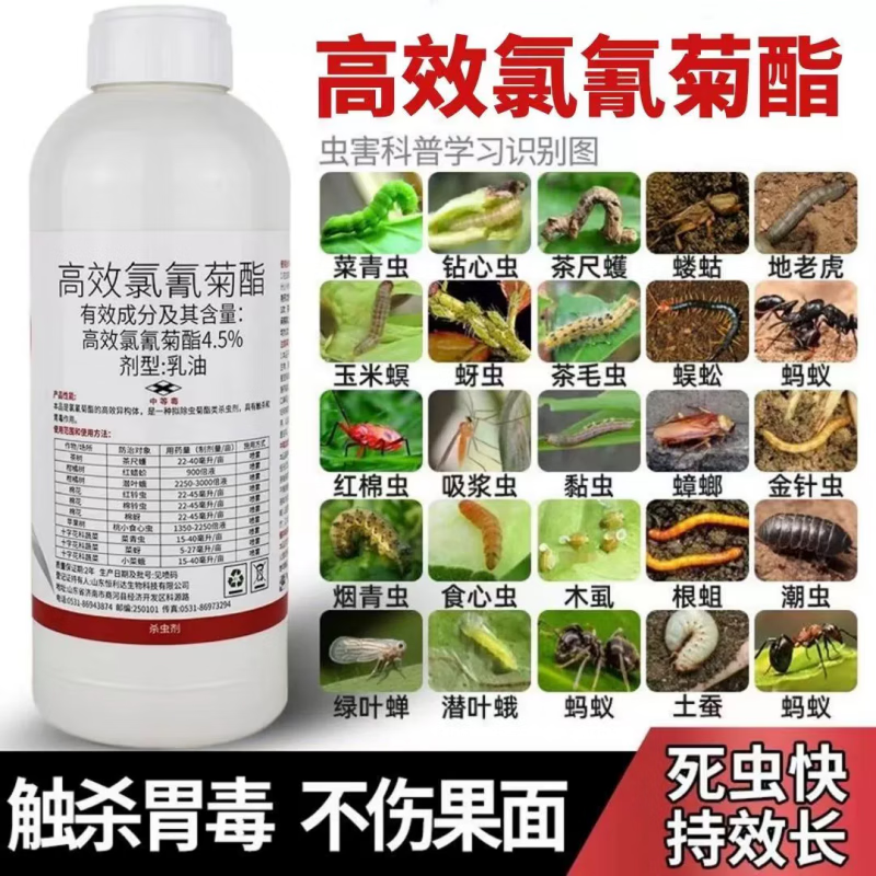 高效氯氰菊酯菜青虫蚜虫钻心虫潜叶蛾果树蔬菜地下害虫农药杀虫剂 500