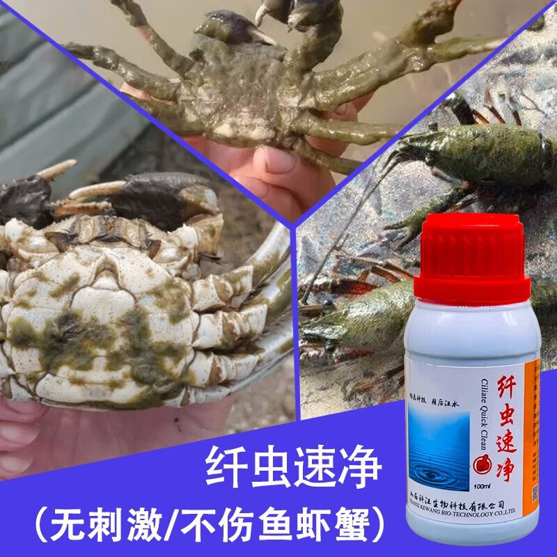 博晟洋纤虫速净水产养殖杀灭水体聚缩虫钟形虫纤毛虫杀虫药鱼虾蟹药