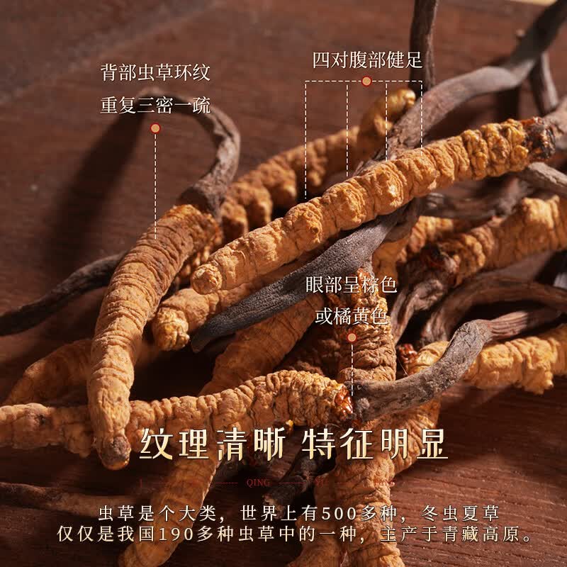 胡庆余堂冬虫夏草5g扎花盒装天号4000可溯源西藏高品质节日礼物营养滋补品 【天号4000】 5g*1盒 (新升级款)