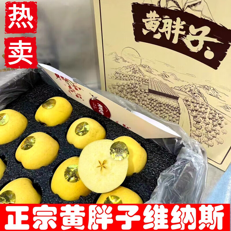 颜曼箐现货黄胖子黄金维纳斯香甜苹果当季新鲜孕妇水果 5斤 65mm(含)