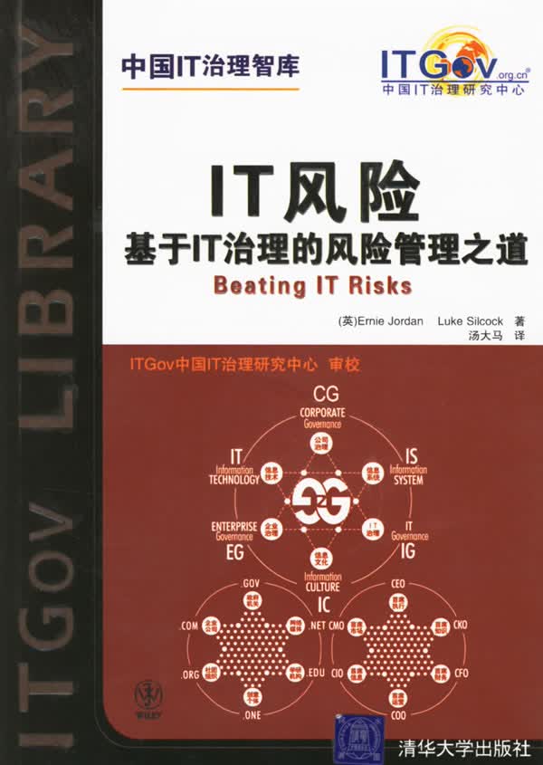 IT风险 基于IT治理的风险管理之道【正版图书】