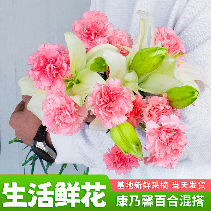 ���ڲ������Ӱ� �ʻ� ���20֧����ܰ+�����ɫ�ٺ�5��