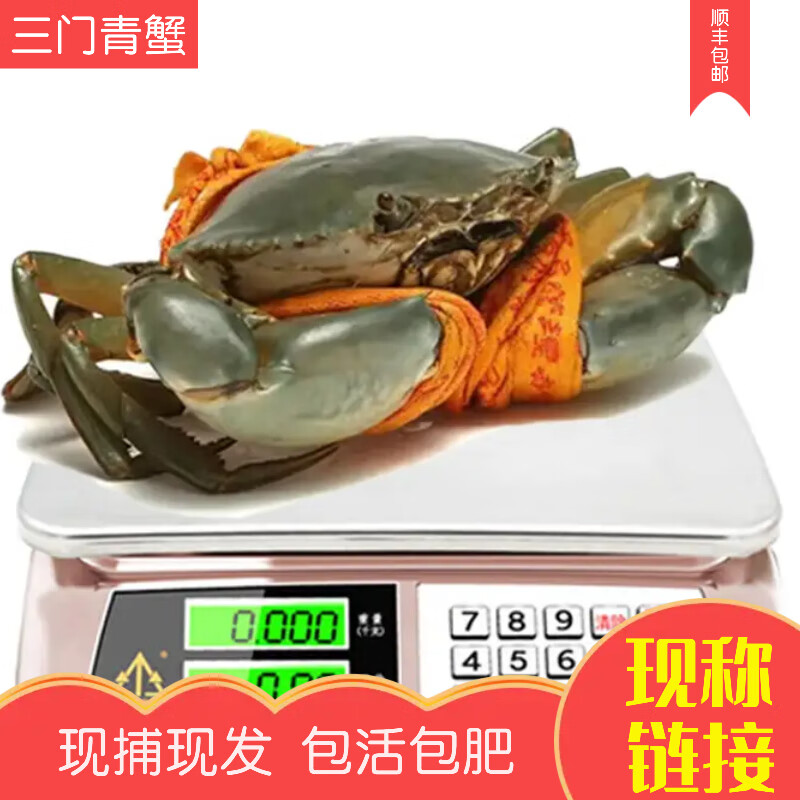 【现称链接】三门青蟹鲜活特大超大全母红膏蟹肉蟹海鲜螃蟹奄仔蟹 现称链接 各种规格搭配