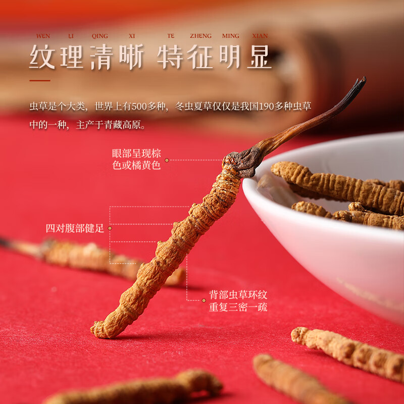 胡庆余堂冬虫夏草野生高档皮质礼盒天号约4根/克中秋节教师节礼物营养补品 约4根/克 10g*1盒 【高档皮质礼盒】