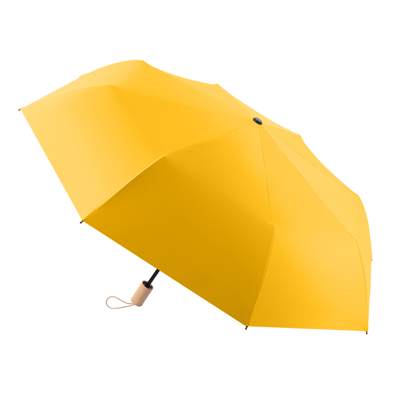 美度MAYDU品牌雨伞雨具，价格趋势与销量分析