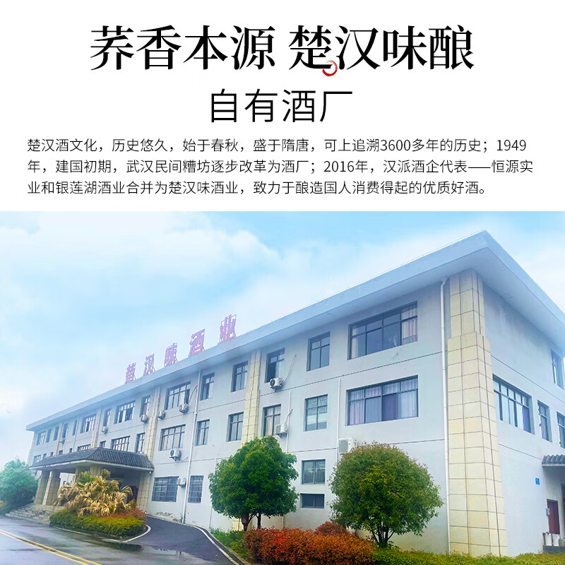 汉味苦荞酒42度小酒口杯装白酒荞香型 湖北特产名酒养生酒自己喝 42度 100mL 1瓶 黑荞 体验装
