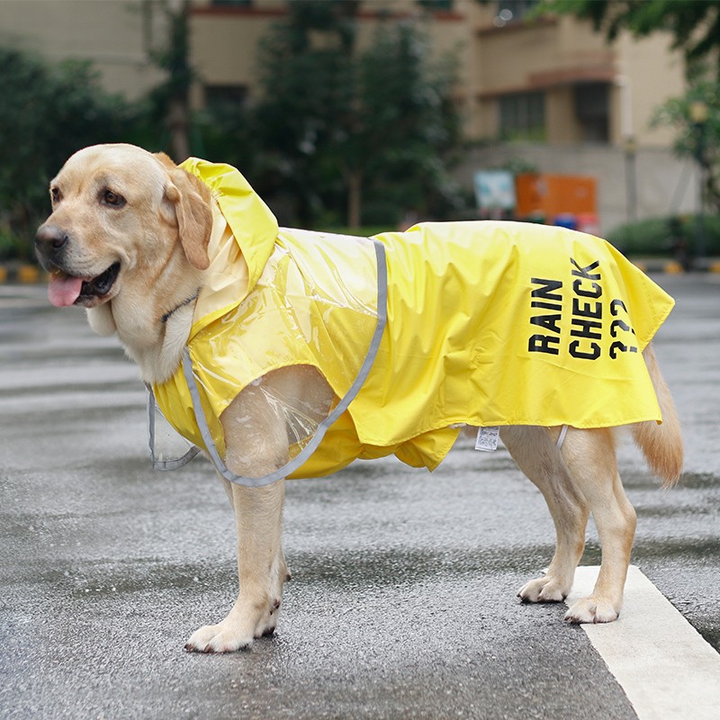 ISPET狗狗雨衣質量好不好？到底哪個好?？