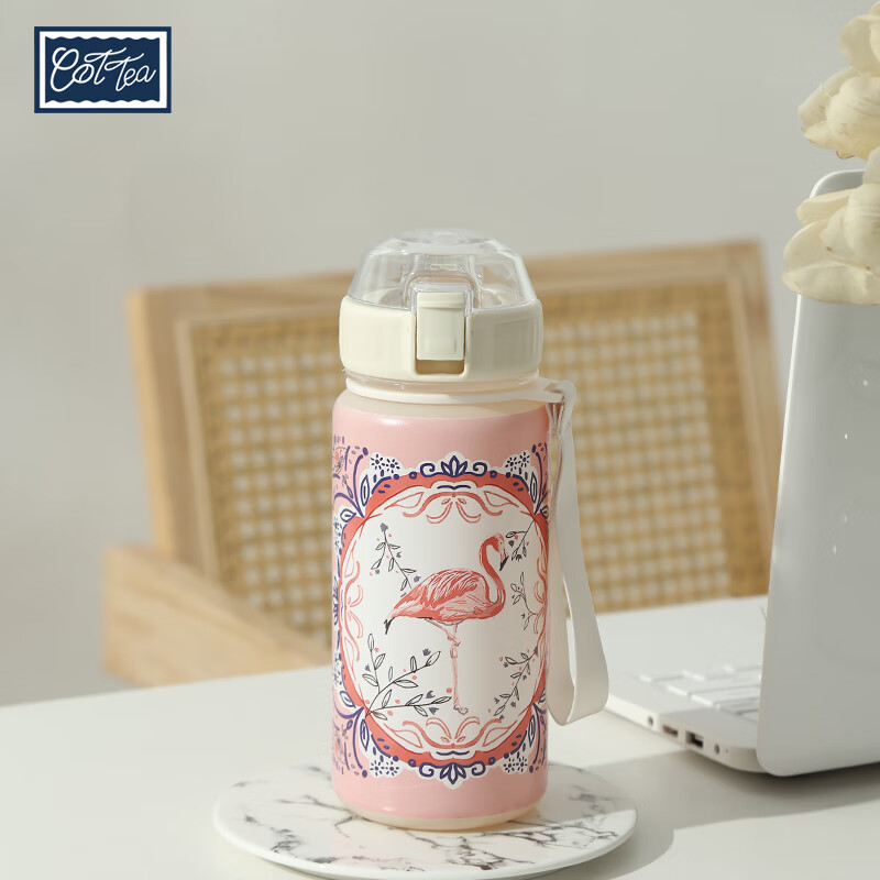 TAEFAIR火烈鸟弹跳杯Tritan茶水分离学生成人便携英式创意含茶滤泡茶水杯 C-镜框火烈鸟Tritan弹跳杯650ml