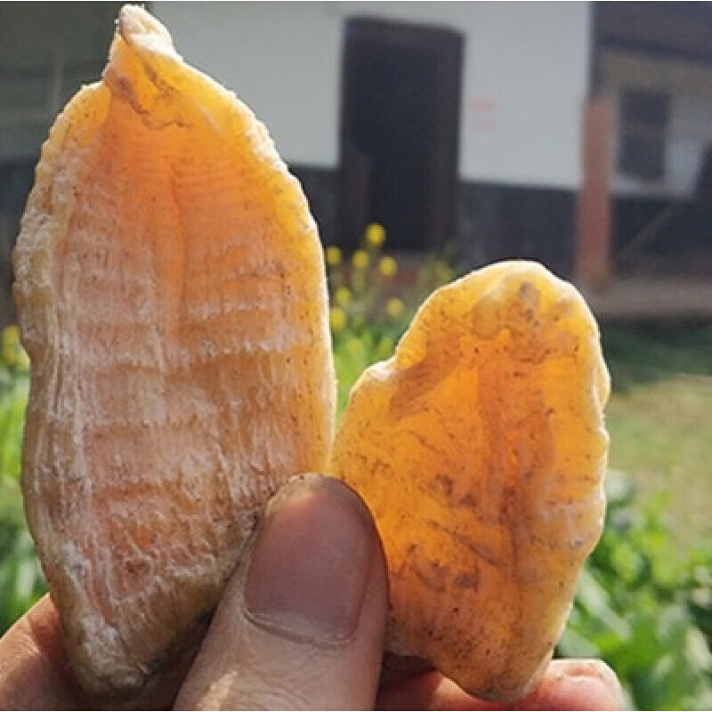 虎钢馋贵州赤水特产晒小玉兰片笋干笋尖冬笋干竹笋 晒干笋尖500g