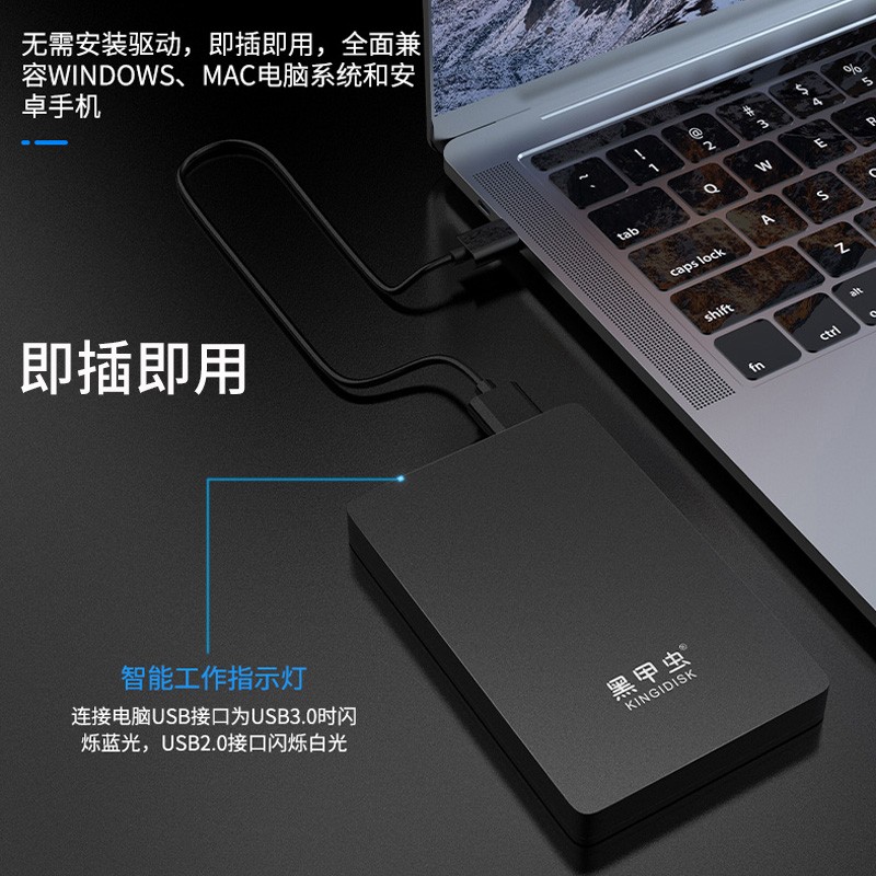 黑甲虫 (KINGIDISK) 1TB USB3.0 移动硬盘  H系列  2.5英寸 磨砂黑 简约便携 商务伴侣 内置加密软件 H100