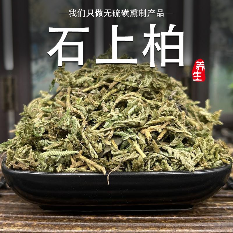墨源 石上柏500克大叶菜地柏草地侧柏金龙草地梭罗金龙草非野生中药材
