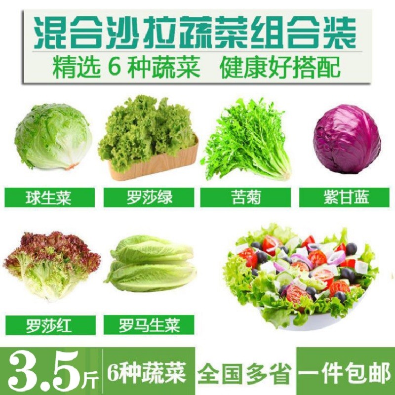 蔬菜沙拉菜3.5斤组合 球生菜生吃轻食混合新鲜沙拉多种蔬菜健身套餐需清洗 3.5斤6种组合