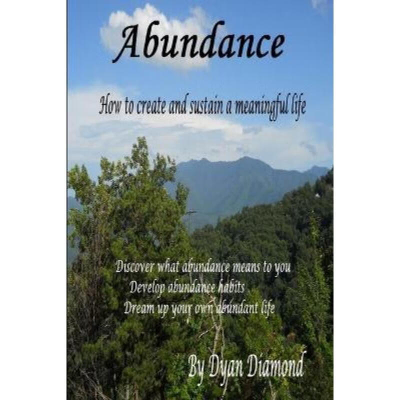 按需印刷abundance ~ how to create and sustain a meaningful life