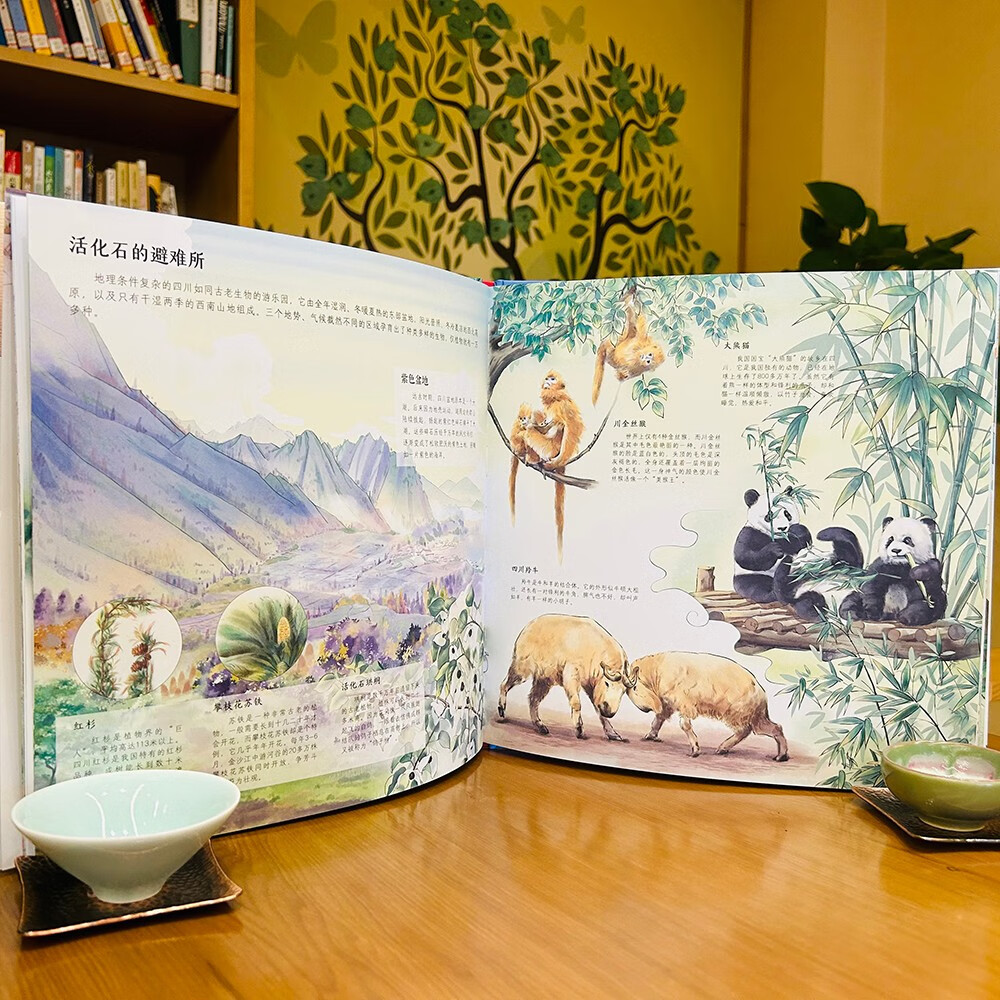 茶，一片树叶里的中国（全4册）传统文化幼小衔接寒假书单暑假书单启蒙科普自主阅读科普绘本亲子阅读 3-5岁小猛犸童书详情图