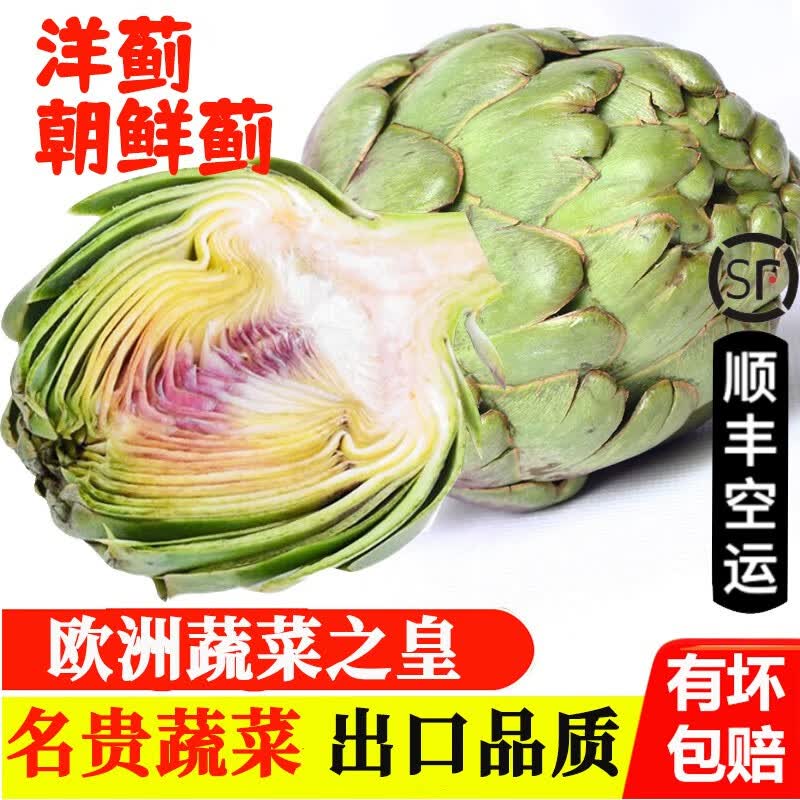 新鲜洋蓟 朝鲜蓟 法国百合 菜蓟菊蓟 新鲜特色名贵蔬菜 大果 500g |约