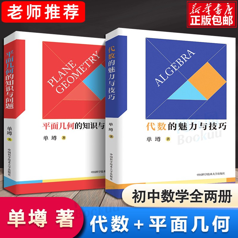 中科大初中数学代数的魅力与技巧+平面几何的知识与问题 单墫 初一初二初三初中数学解题规律方法与技巧