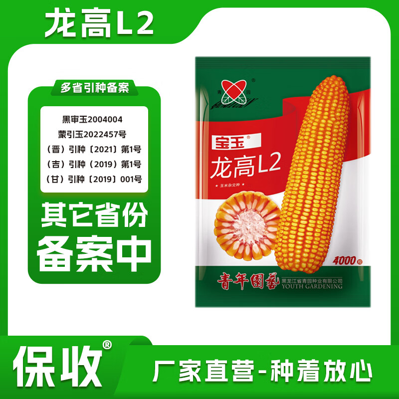 旺园兴龙高l2高产玉米大田种子抗旱抗倒伏抗虫 龙高l2(4000粒) 标准