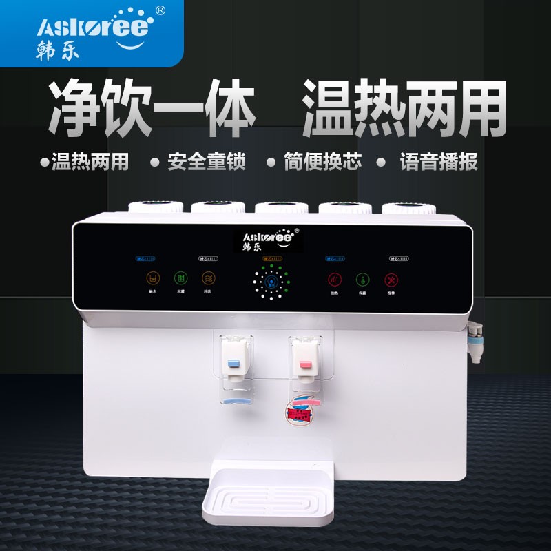 韩乐(askoree)家用净水器ro反渗透直饮纯水机语音播报温热净化器一体