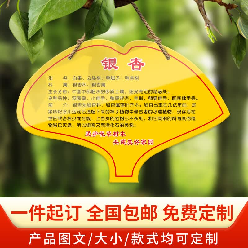 亚克力植树节树牌植物挂牌树木认养介绍标识提示牌设 定制银杏形-zw16