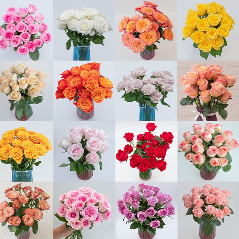 钟爱（love）马卡龙云南基地多色选稀有品种家庭水养瓶插花束客厅卧室装饰鲜花 混色玫瑰10枝-3色怎么样,好用不?
