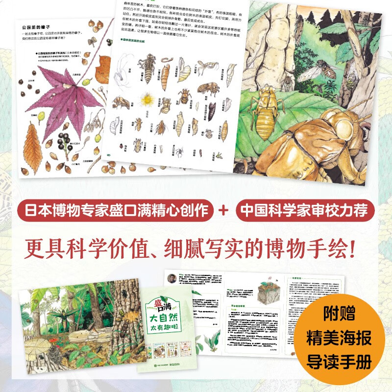 盛口满：大自然太有趣啦自然科普绘本4-8岁小猛犸童书(精装4册)详情图