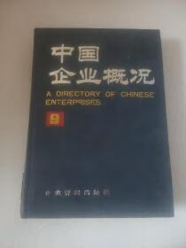 中国企业概况.9