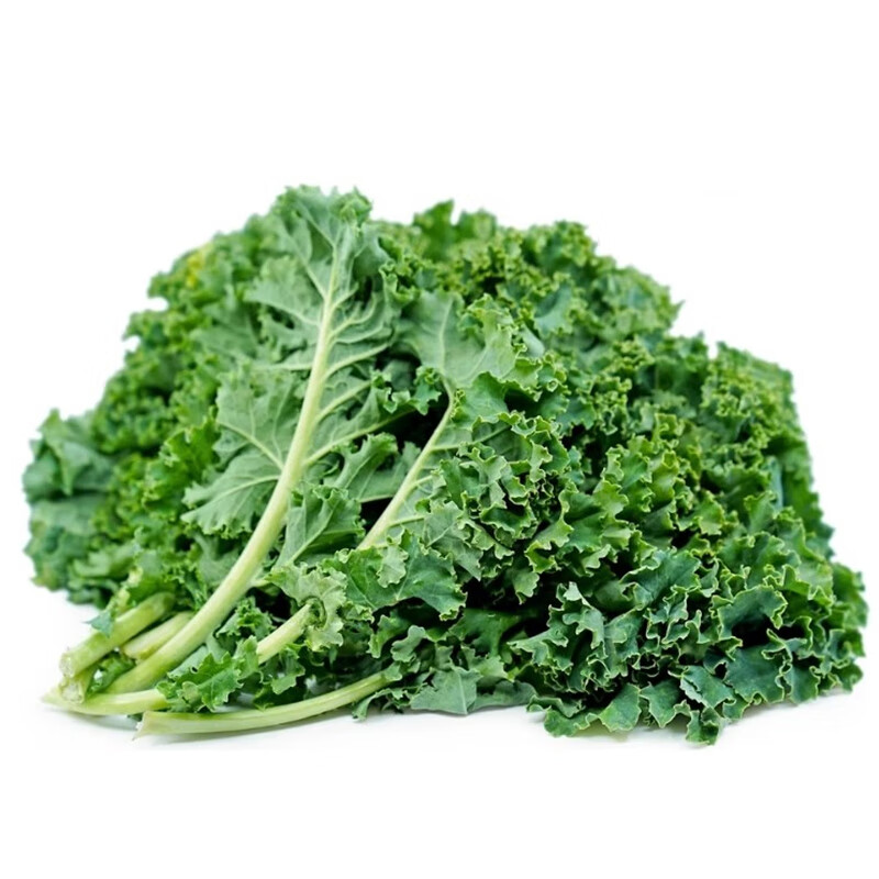羽衣甘蓝绿叶菜 绿叶甘兰嫩叶芥蓝菜西餐沙拉健康轻食新鲜蔬菜 1斤