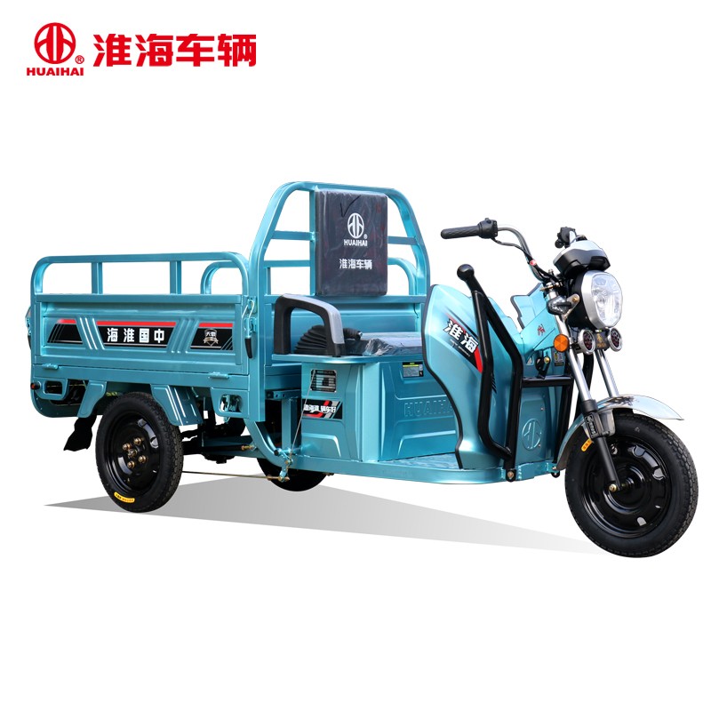 淮海电动三轮车天雷150货车载重拉货快递车新款家用电瓶车农用车 800w
