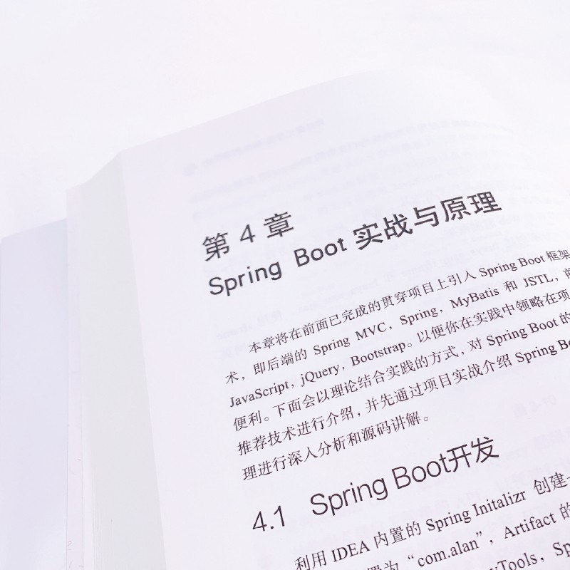 Spring Boot+Vue开发实战(博文视点出品)?详情图