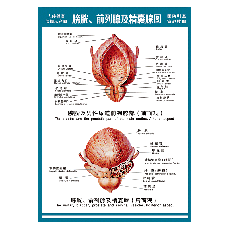 纸品印刷制品历史价格查询网址|纸品印刷制品价格历史