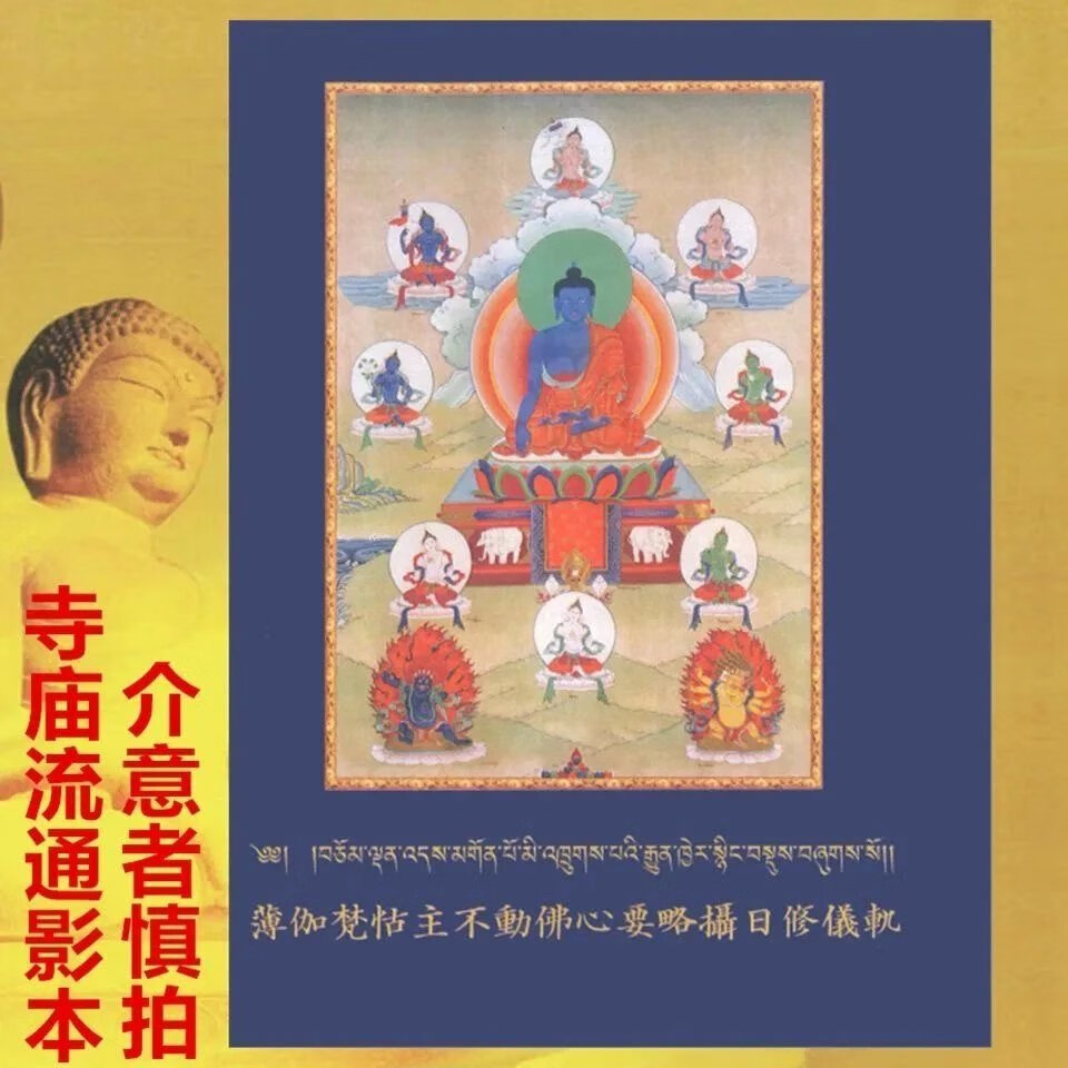 薄伽梵怙主不动佛心要略摄日修仪轨（9页介意勿拍）