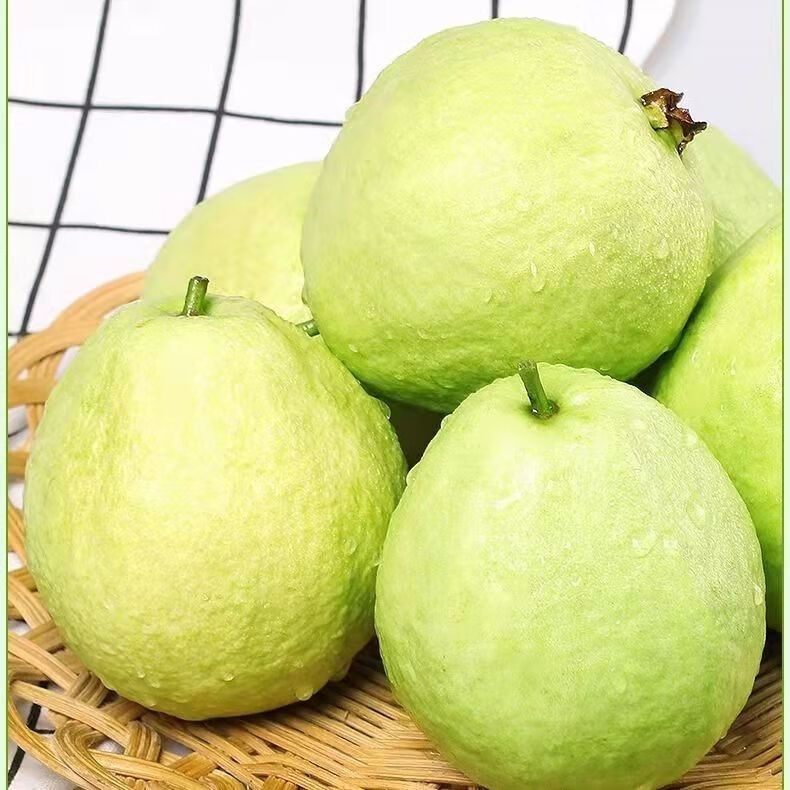 广东茂名番石榴珍珠芭乐白心水果清脆香甜热带水果现摘现发 5斤带箱