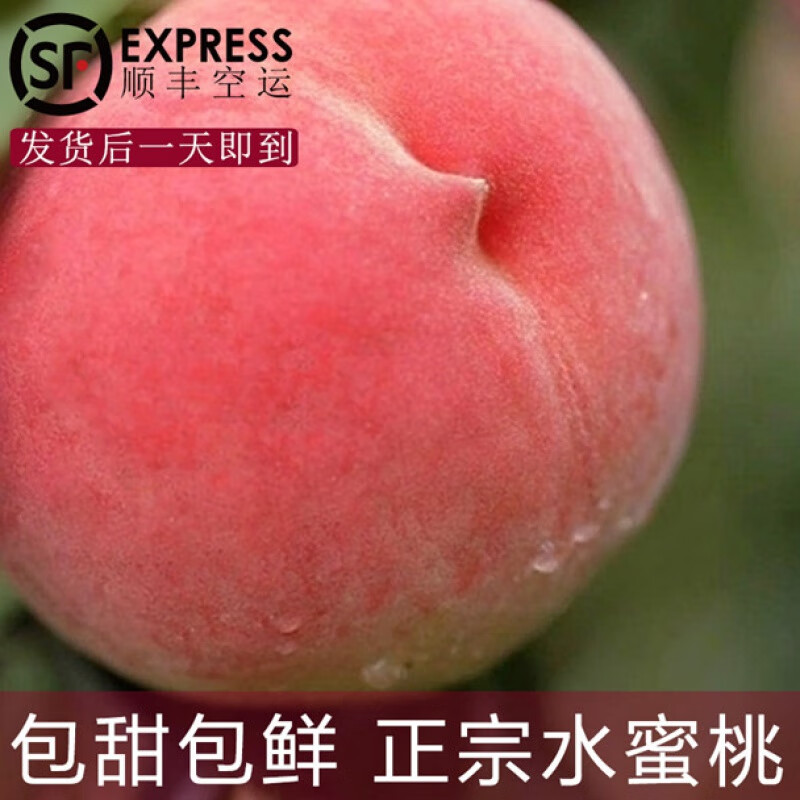 樱鲜【顺丰直达】北京水蜜桃平谷鲜桃9号桃多汁大桃脆甜绿化九水果新