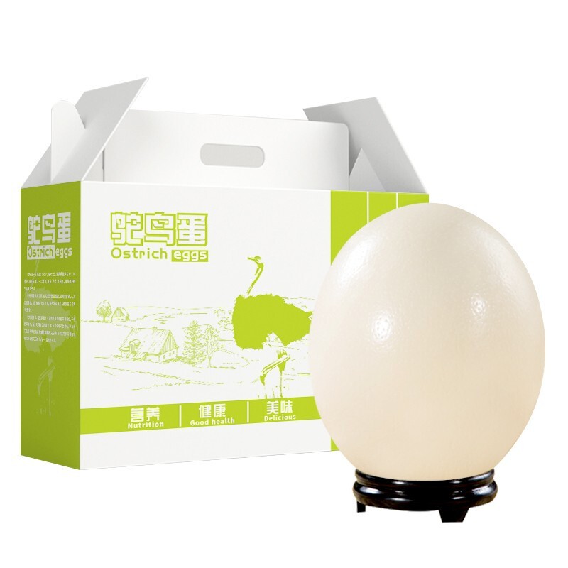 新鲜鸵鸟蛋大号可使用不可孵化  一只约3斤左右 3斤以上礼盒装 鸵鸟蛋一个