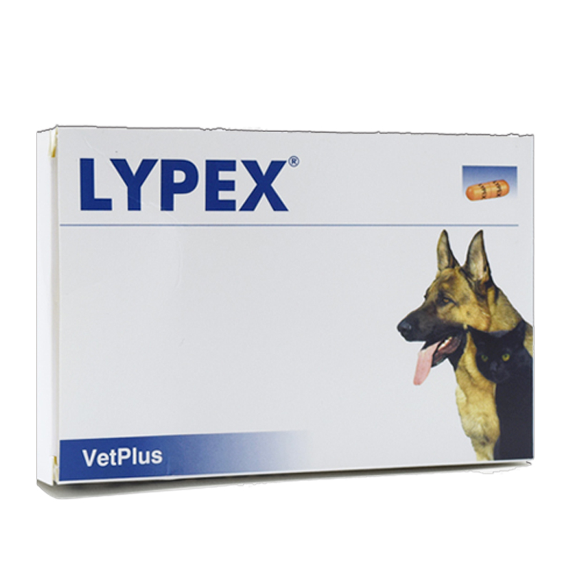 【犬猫通用】多酶素胶囊宠物猫狗胰腺炎慢性腹泻胰酶利派斯 单板15粒